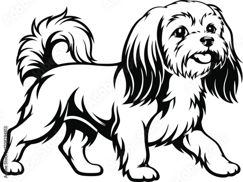Cute fluffy small dog walking illustration in black and white, long hair, friendly expression, playful pose, perfect for pet lovers artwork