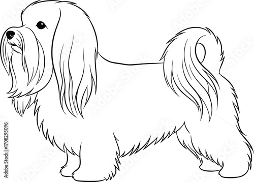 Elegant long haired small dog black and white line art illustration, standing pose, fluffy coat, perfect for pet lovers and decor