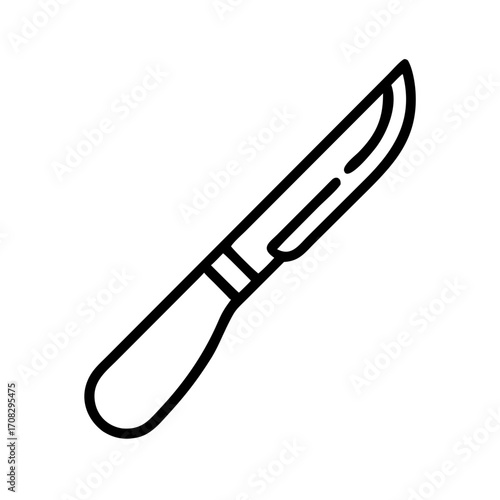 Simple kitchen knife with a wooden handle and stainless steel blade  