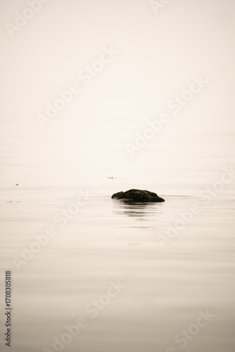 Unmoved in the waves