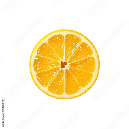 レモン　断面　lemon fruit slice