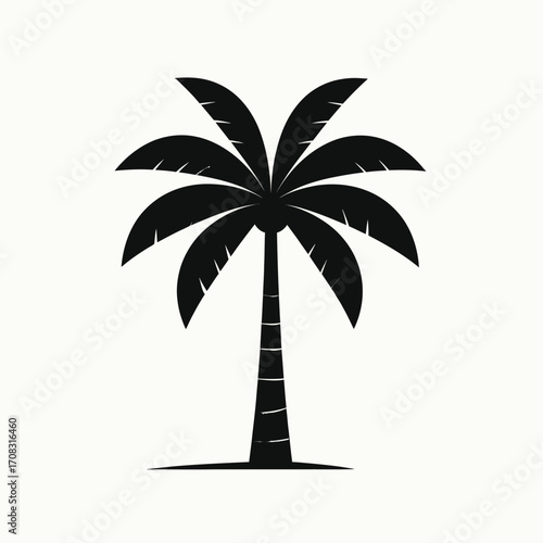 Silhouette of a Palm Tree Against a White Background.