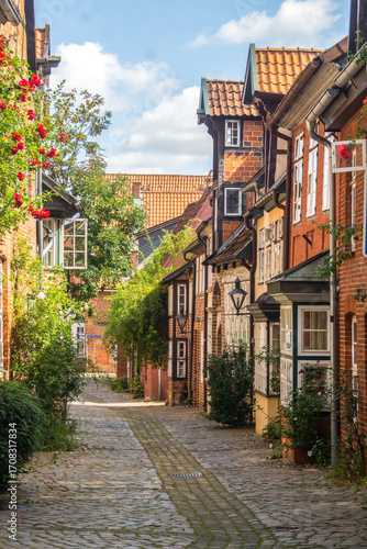 Wonderful medieval alley in historic Lüneburg
