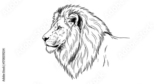 Majestic Lion Portrait: Strong and Regal Hand-Drawn Illustration