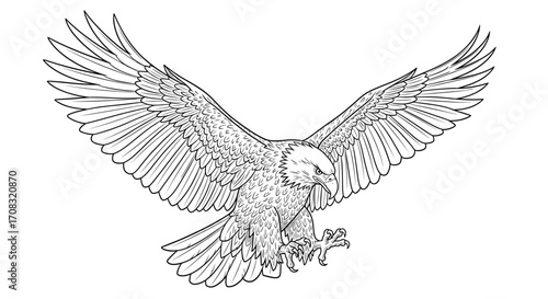 Majestic Eagle Soaring High: A Detailed Line Art Illustration