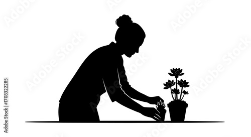 Woman carefully tending potted succulent plants in a serene silhouette moment