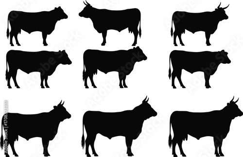 Silhouette illustration of multiple cow and bull shapes, livestock farm animal vector graphic for agriculture, dairy farming, beef industry, and rural designs