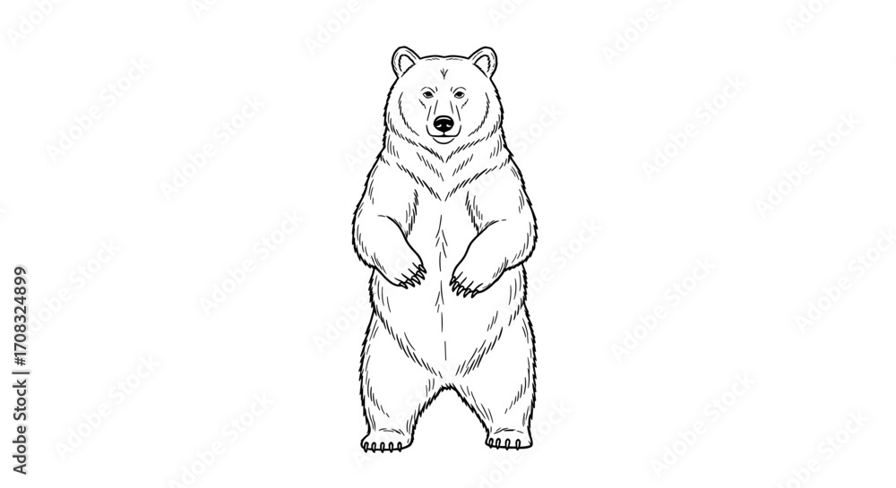 Obraz premium Standing Bear Black and White Line Art on White Background.