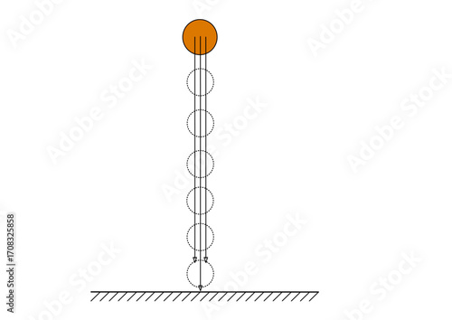 Physics diagram showing vertical motion of a falling ball with bounce trajectory. Illustration of gravity effect on ball dropping and rebounding from surface