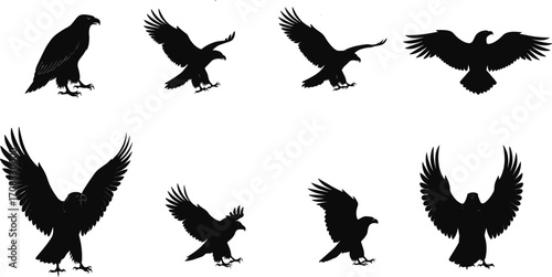 Eagle silhouette vector collection, flying and perched birds of prey, majestic raptor illustrations, wildlife clipart set for nature and graphic designs