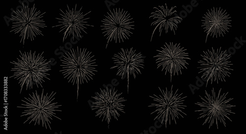 Collection of Detailed White Fireworks Bursts on Black Background.