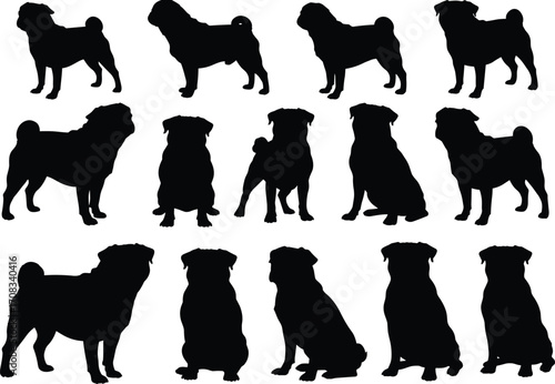 Pug dog silhouettes collection, black vector pet icons, domestic canine shapes, cute sitting and standing poses, graphic artwork for design, animals, illustration, vector