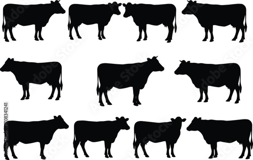 Cow silhouettes collection, standing farm animal vector illustration, black graphic icons for agriculture, rural livestock design, dairy cattle artwork, countryside farming, nature, domestic