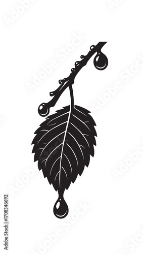 Black and White Leaf Vector with Water Droplets - Nature Botanical Illustration