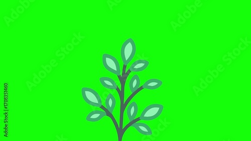 Animated plant green screen 