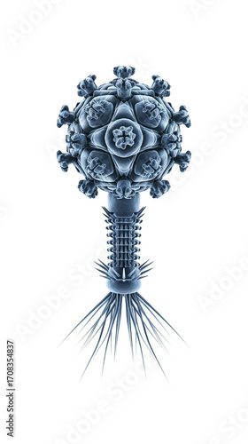 Detailed scientific illustration of a bacteriophage virus particle isolated on a clean white background
