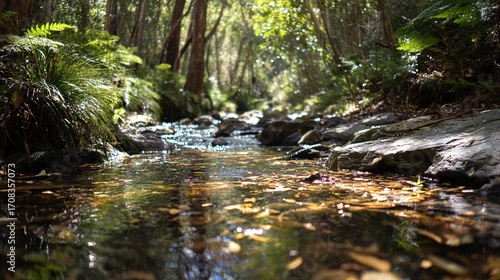 stream. Sunlit forest stream with dappled light reflecting off crystal clear water over rocks. travel magazines, destination branding, designed for travel destination branding, used by researchers.