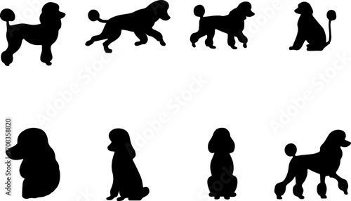 Poodle silhouettes set, poodle dogs set vector, Creative poodle vector art, poodle vector logo, Set of poodle art design, poodles silhouette collection