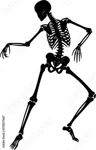Dancing skeleton bone structure anatomy human body silhouette vector illustration