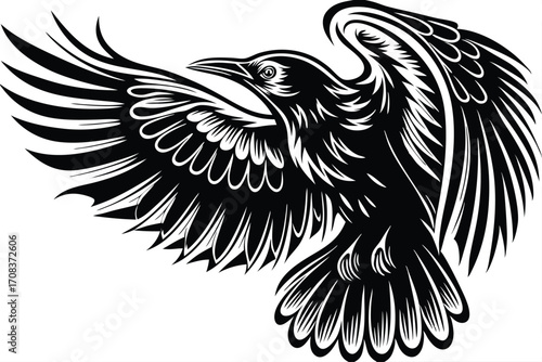 Isolated monochrome raven soars gracefully with outstretched wings in detailed black line art