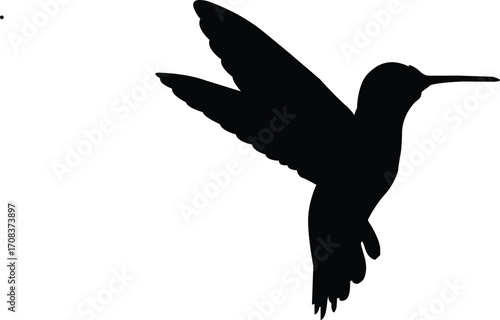 silhouette of Hummingbird in Flight – Vibrant black Bird Photography