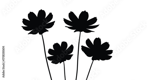 Four silhouetted cosmos flowers with delicate stems in simple graphic style vector