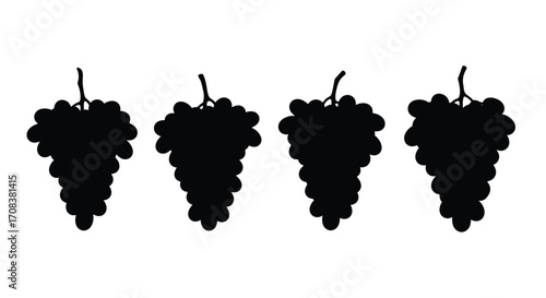 Four dark silhouette clusters of ripe grapes on stems against a white backdrop vector