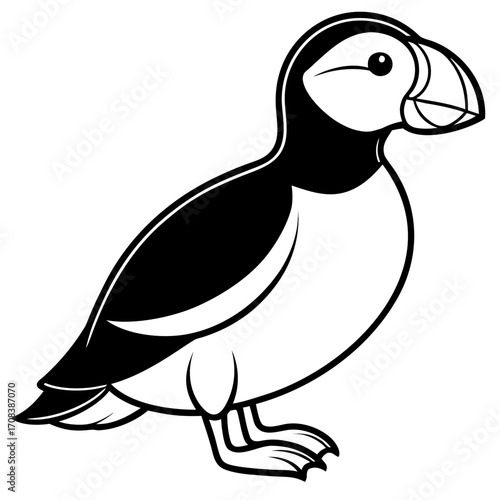 Puffin line art vector