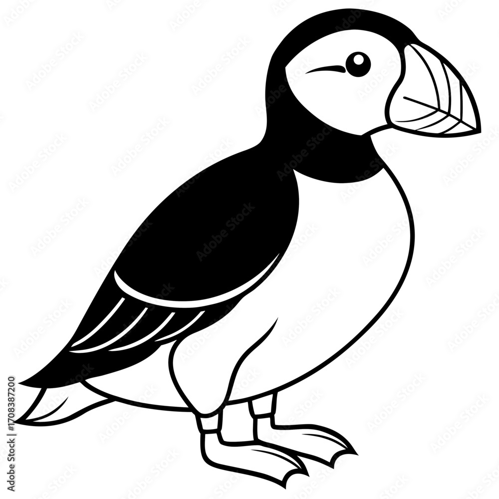 Fototapeta premium Puffin line art vector
