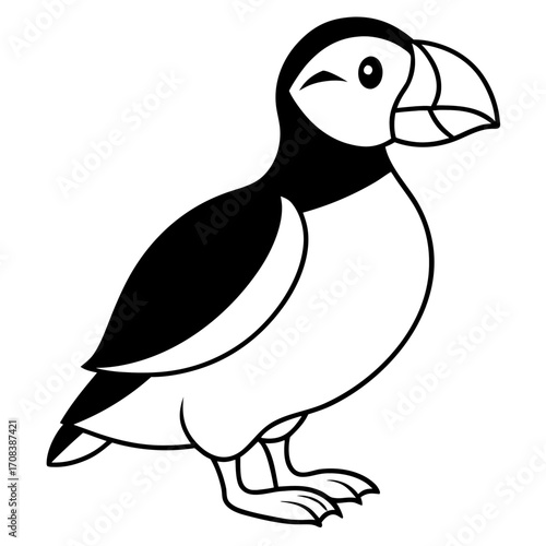 Puffin line art vector