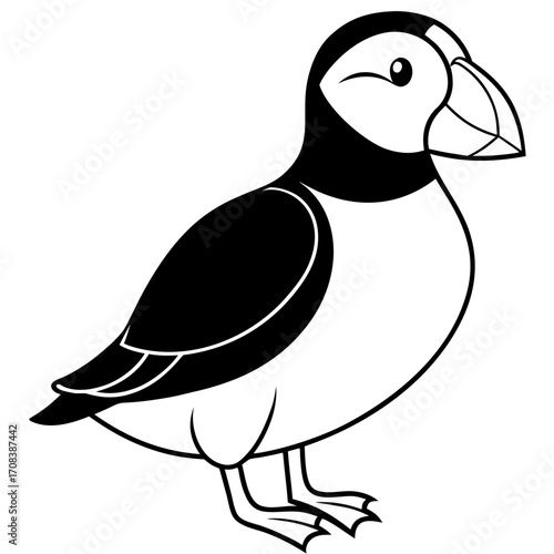 Puffin line art vector