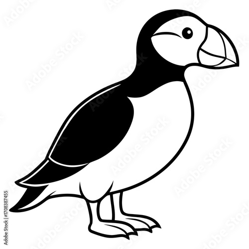Puffin line art vector
