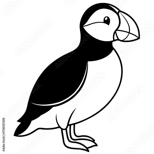 Puffin line art vector