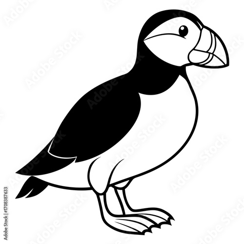 Puffin line art vector