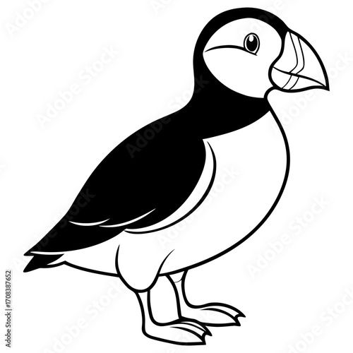 Puffin line art vector