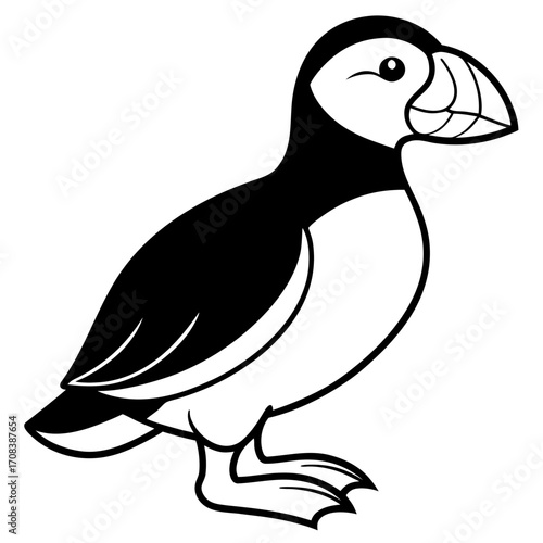 Puffin line art vector