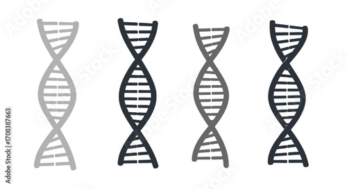 Four dna double helix structures illustrating genetic research and science vector