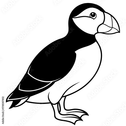 Puffin line art vector
