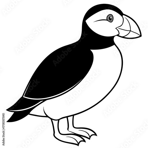 Puffin line art vector