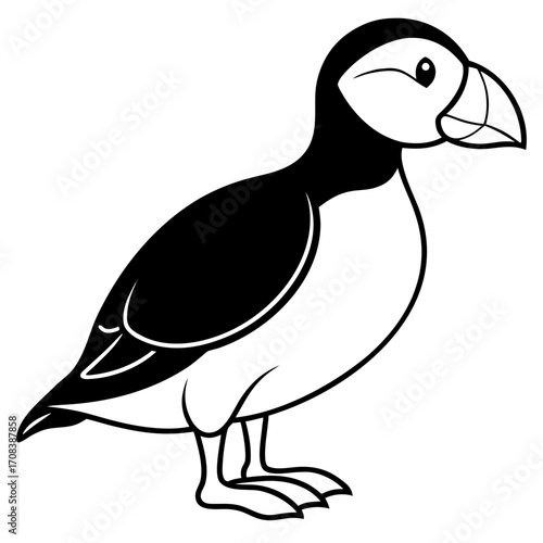 Puffin line art vector