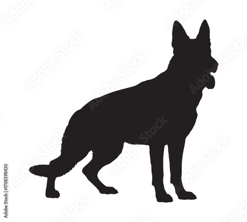 Silhouette of a German Shepherd Dog, Black and White