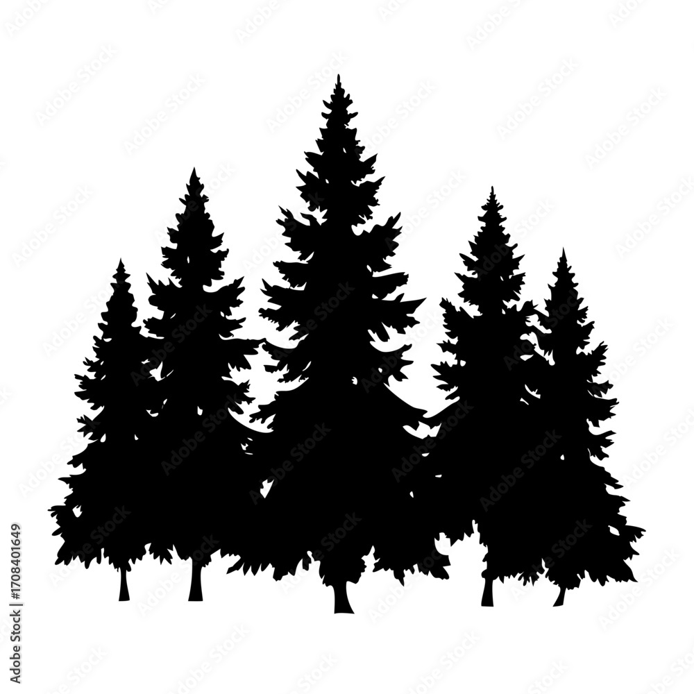 Obraz premium pine trees silhouette
