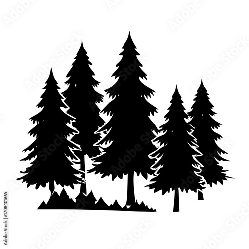 Group of tall pine trees silhouette