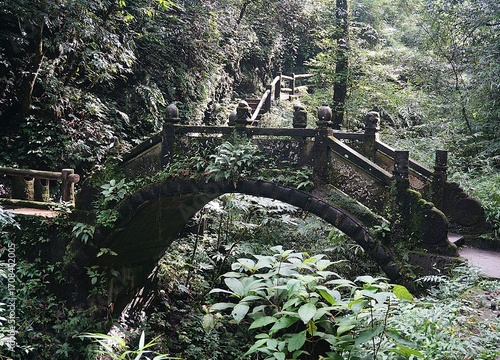 old bridge in the park