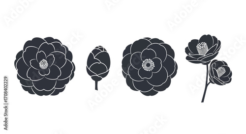 Elegant hand drawn black flower collection delicate petals and buds artistic botanical elements vector