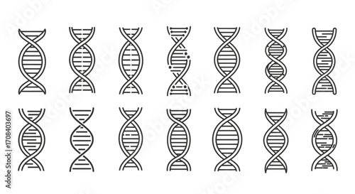 Diverse dna double helix structures representing genetic science and biological research patterns vector