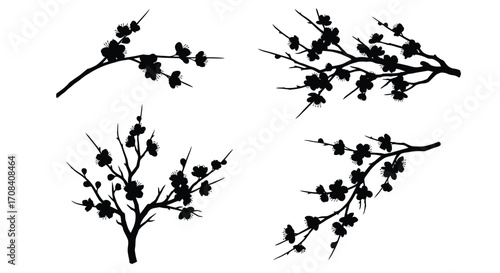 Silhouette sprigs of blooming cherry blossoms delicate flowers on thin branches organic art vector