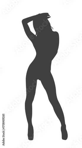 Artistic Silhouette of a Graceful Figure: A sensual and artistic silhouette of a lithe female form strikes a pose of elegance and self-assurance. perfect for creative projects.