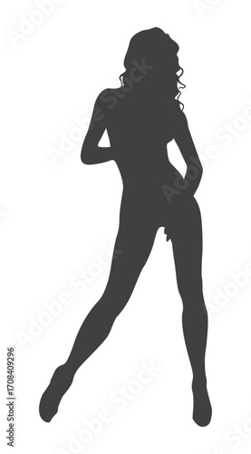 Graceful Silhouette: An elegant silhouette of a woman with captivating pose, embodying grace and artistic allure.