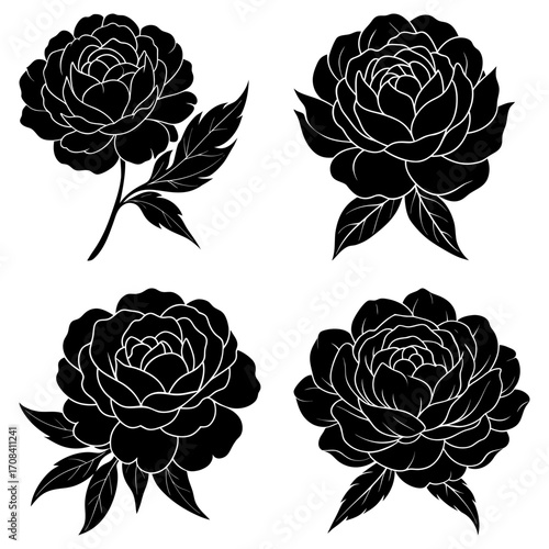 Four black and white floral illustrations of peonies in different orientations and arrangements on white